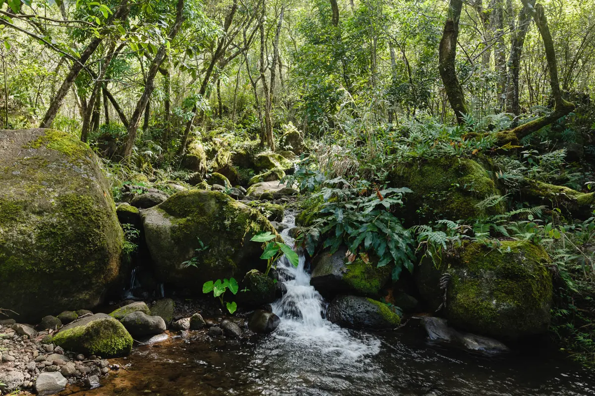 Hanakoa Stream