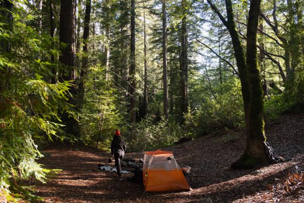 Spring Big Sur Backpacking: Vicente Flat Trail