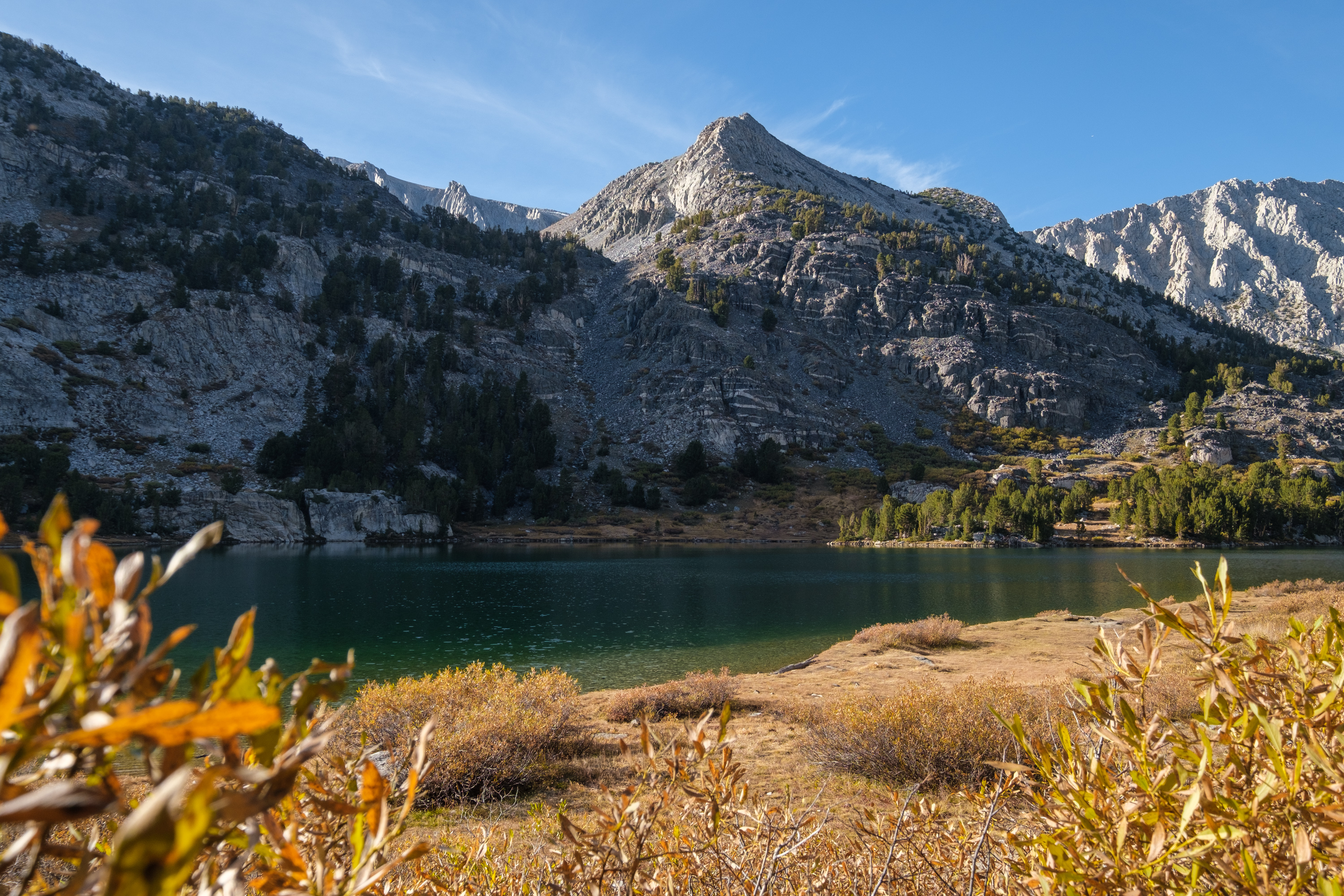 2 Lily Tang Eastern Sierra Little Lakes Valley 1397