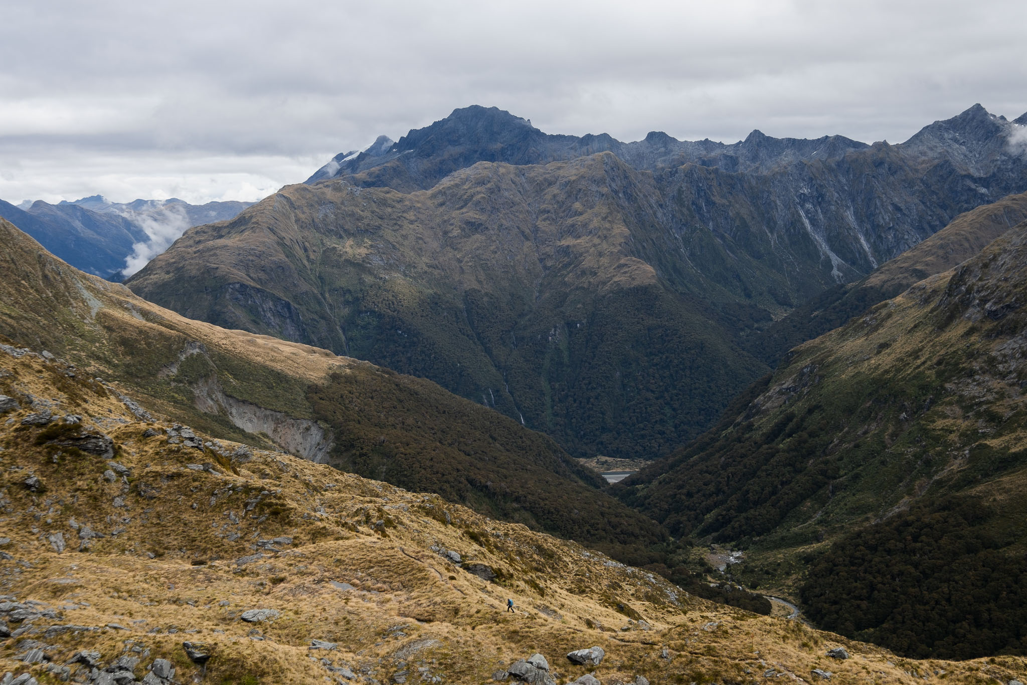 7 lily tang photography gillespie track new zealand mt aspiring 4437